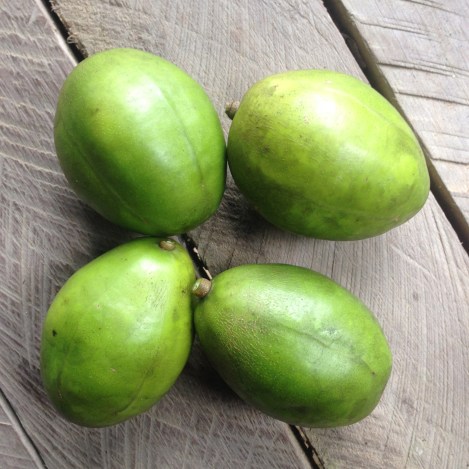 Peel to eat inside is crunchy like an apple but tart with a hard pit like a peach.