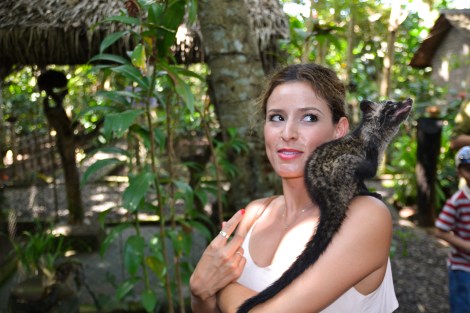 Crystal and the Luwak