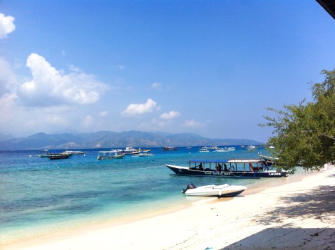 Harbor, Gili T