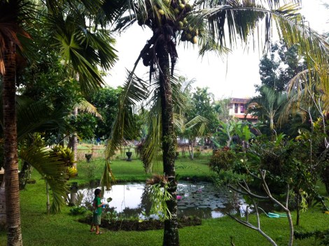 20140706-photo 1 (1)