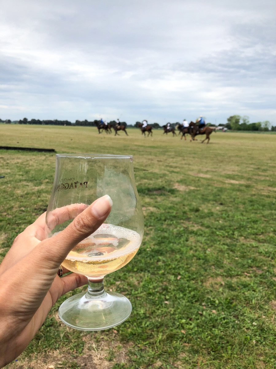 Champagne polo match